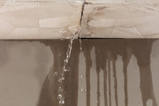 Professional Structural Drying technician working in Waverly, MI